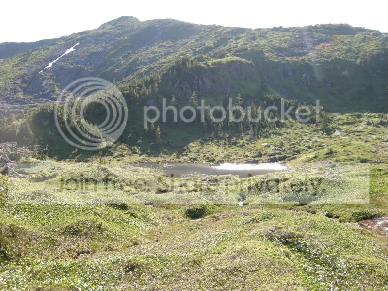 DSCN6258.jpg