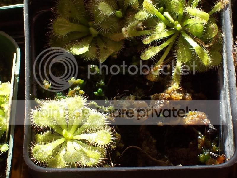 100_8659.jpg