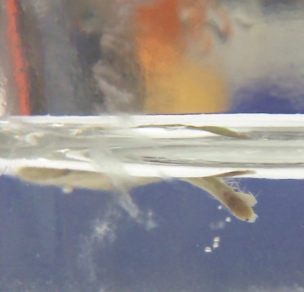 9231674111_177ec28964_z.jpg