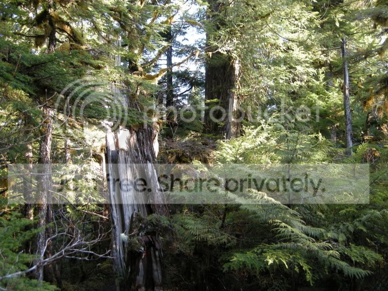 DSCN7029.jpg
