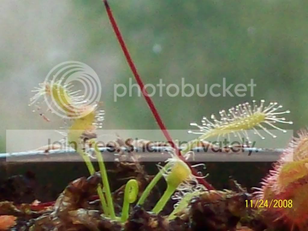 100_0588.jpg