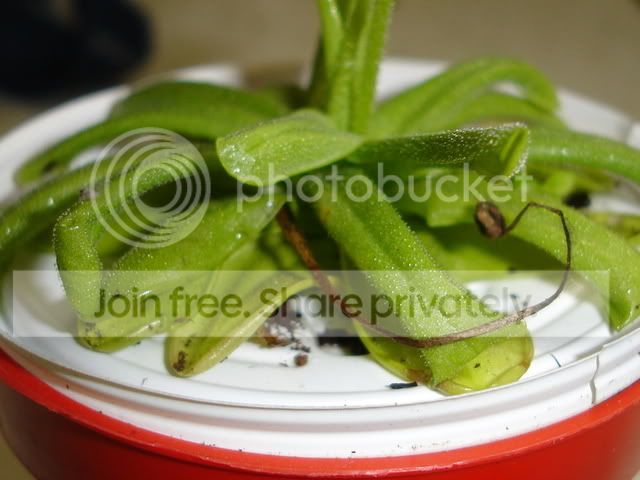 DSC05522.jpg