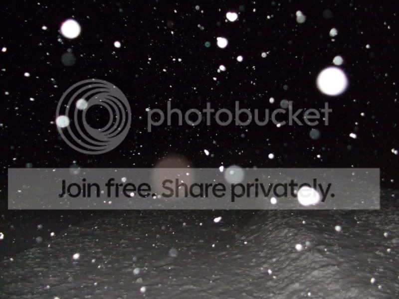 DSCF4705.jpg