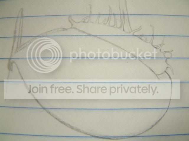 art003.jpg