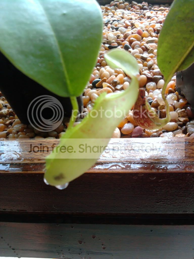 2011-07-14124414.jpg
