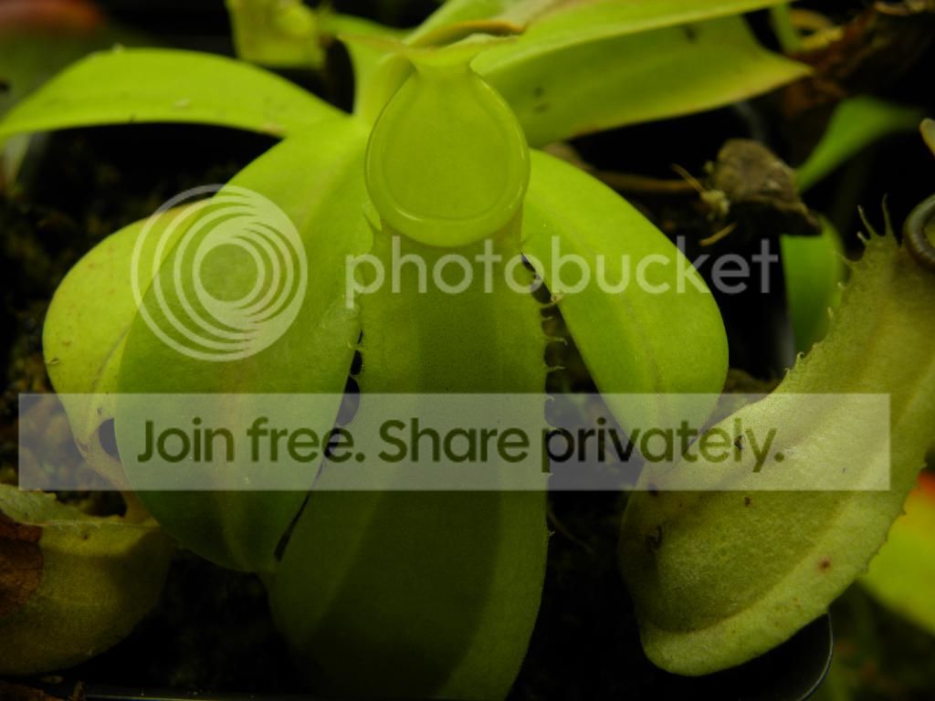 050_zpsc4fe6845.jpg