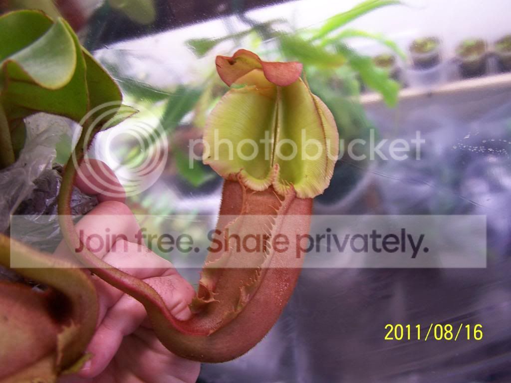 100_5055.jpg