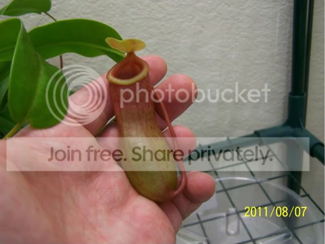 100_5013.jpg