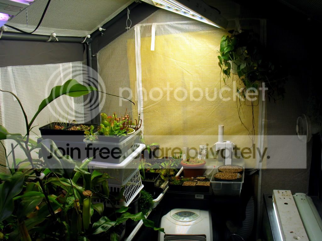 IMG_6537.jpg
