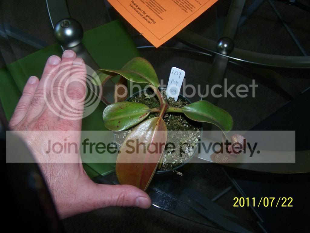 100_4892.jpg