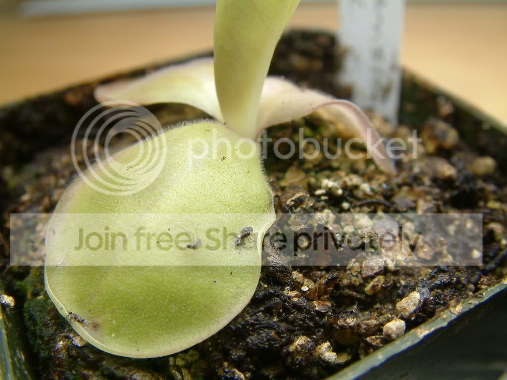 randomCPpictures017.jpg