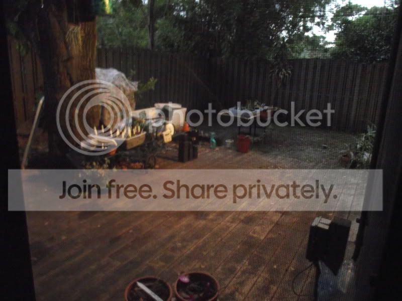 DSCF6719.jpg