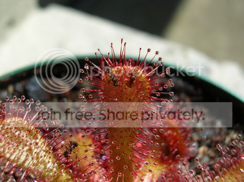 DSCN3570.jpg