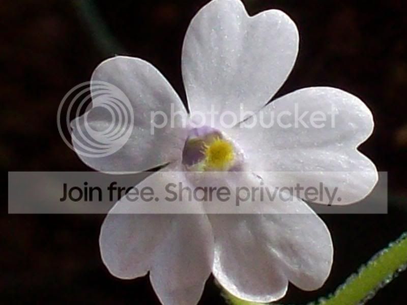 100_9323.jpg