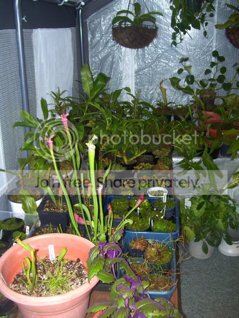 100_5821.jpg