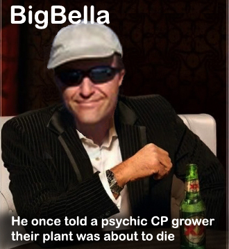 bb1.jpg
