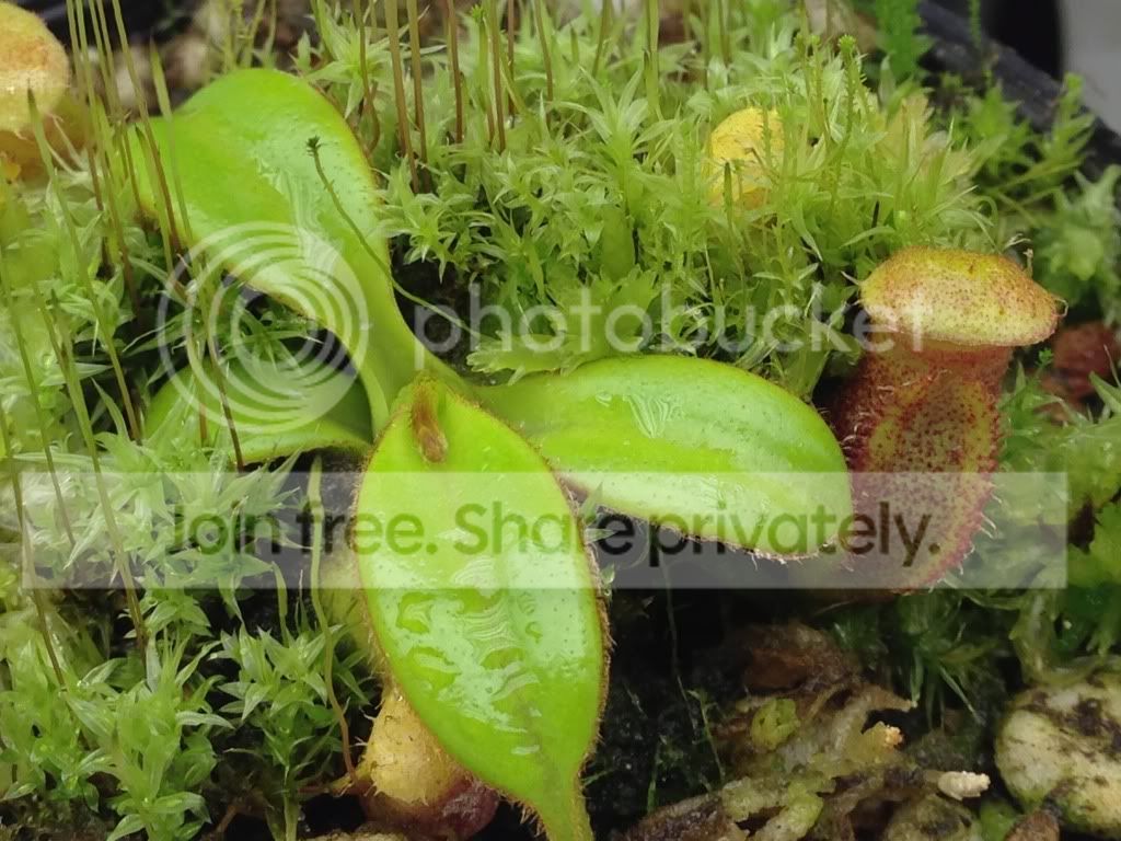 image_zps1c371fe6.jpg