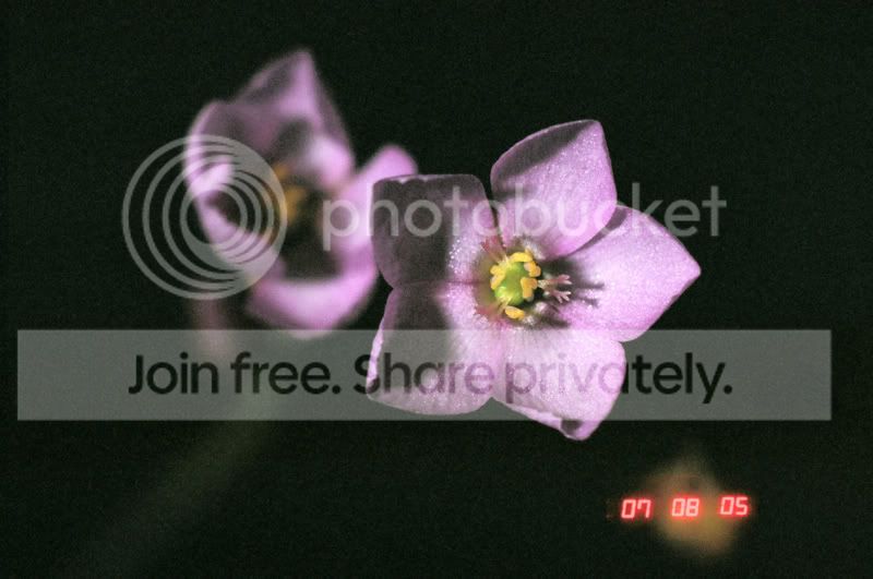 04020002copy.jpg