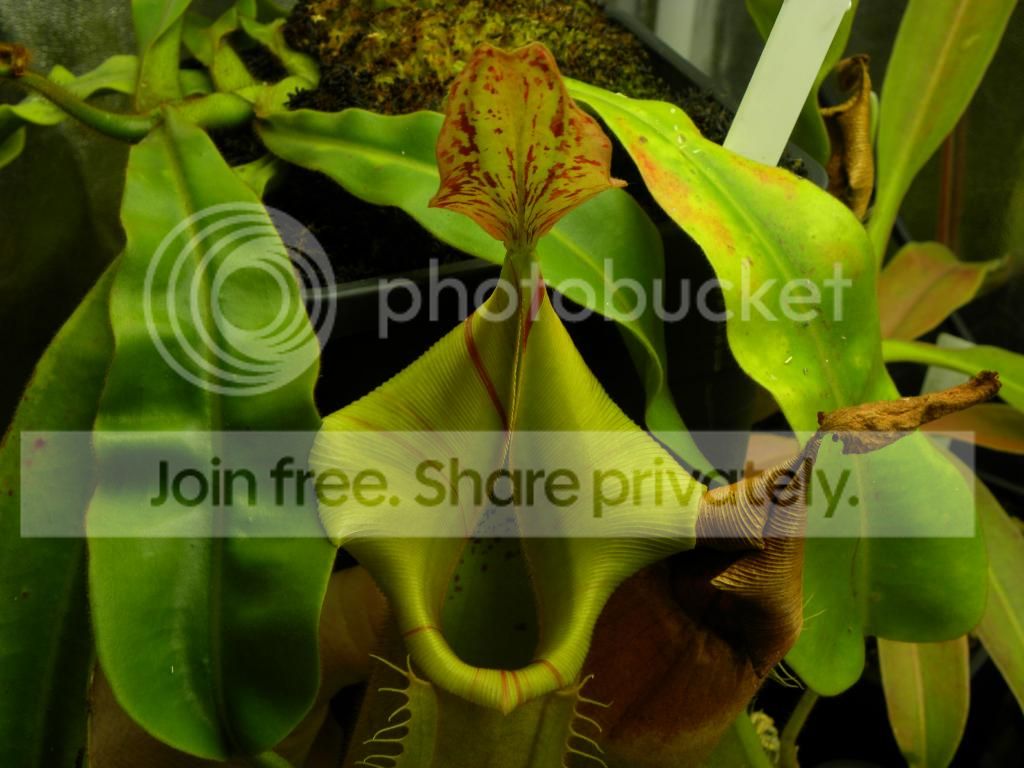 010_zpsf18c032b.jpg