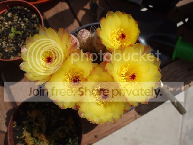 2008_07160041.jpg