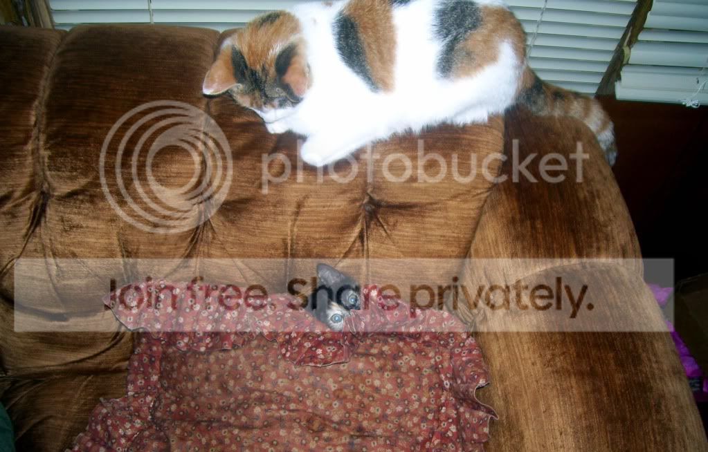 100_4966.jpg