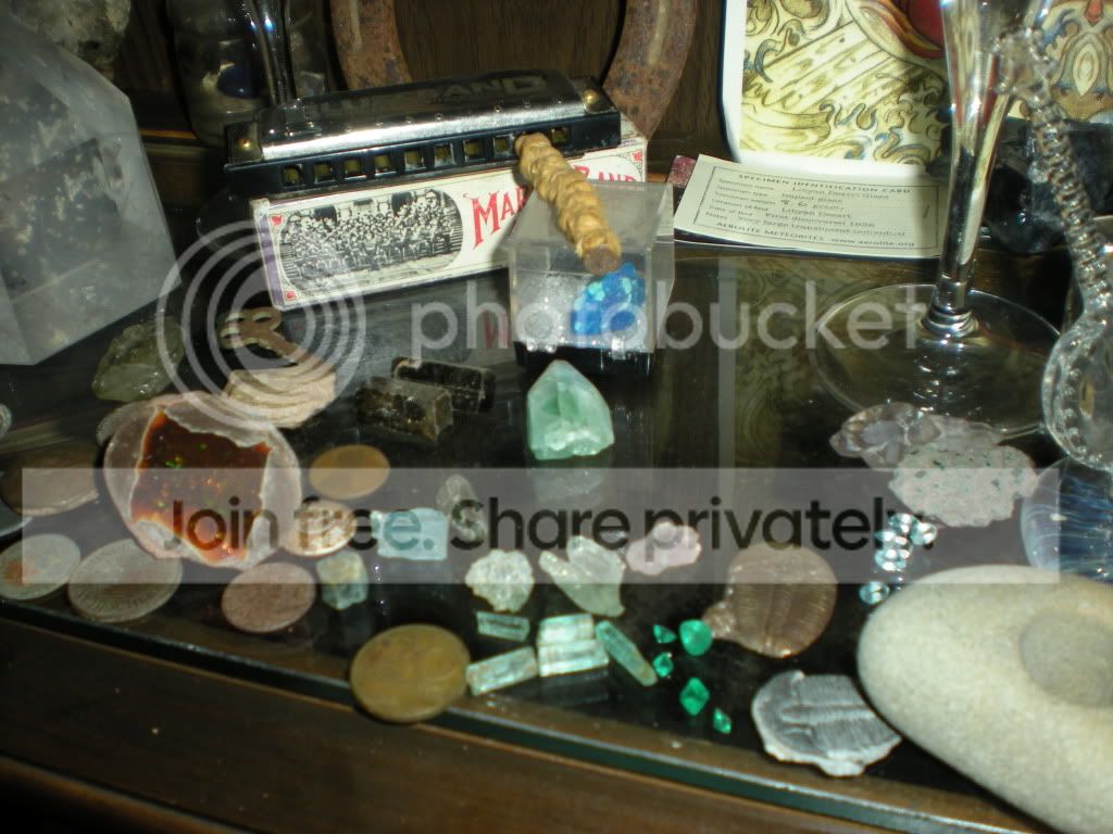DSCN7117.jpg