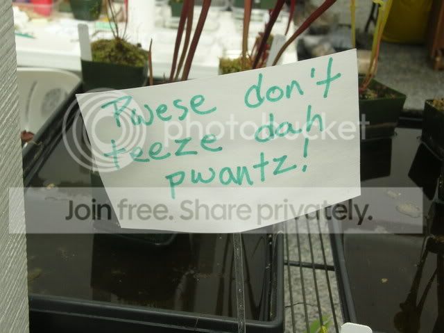 DSCN4410.jpg