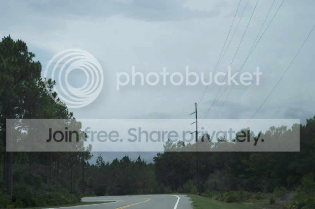 DSCF7982.jpg