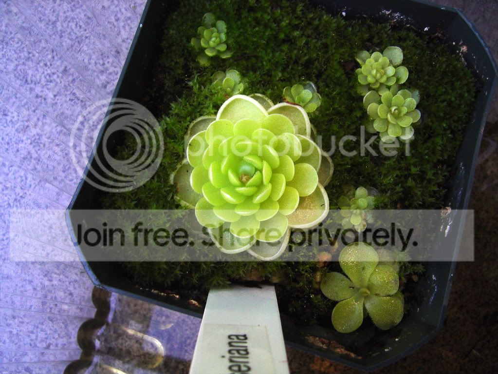 ReturnhomeCPs7-21-09006.jpg