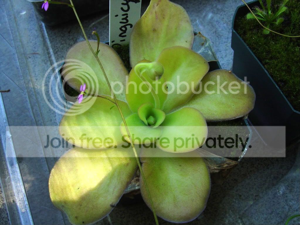 ReturnhomeCPs7-21-09007.jpg