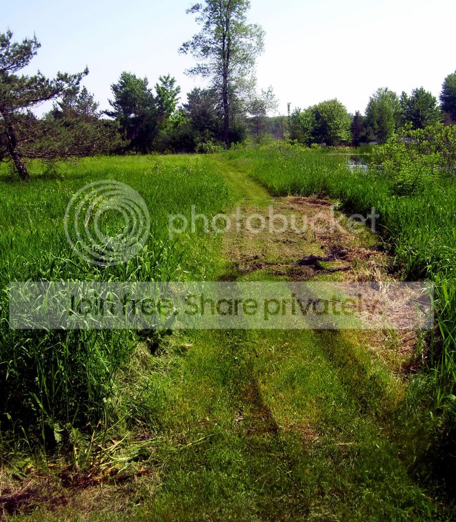 100_8525.jpg
