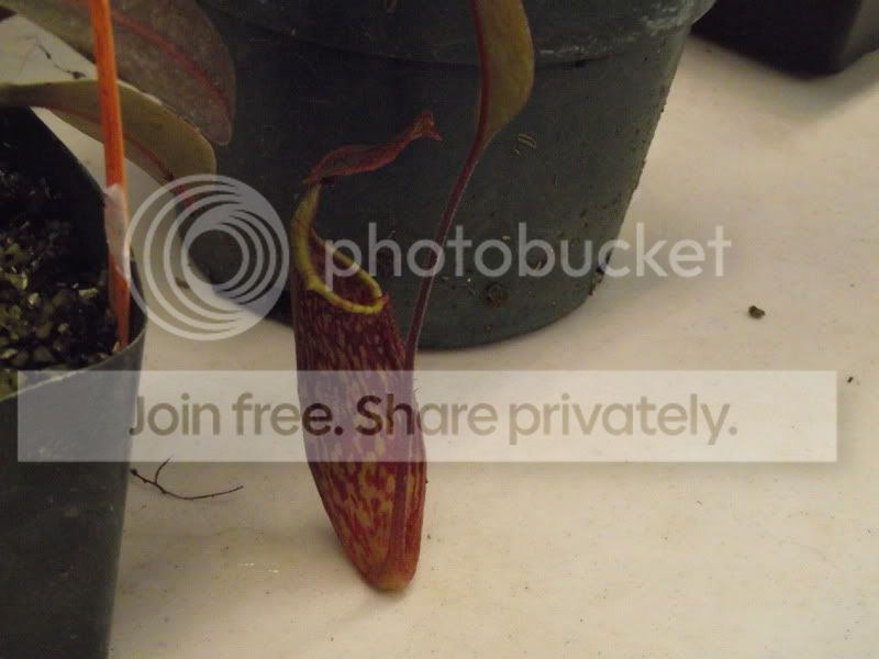 DSCF5835.jpg