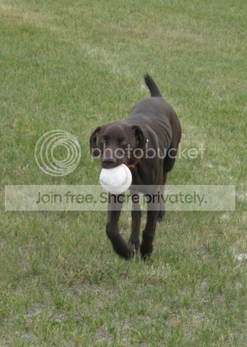 IMG_0589.jpg