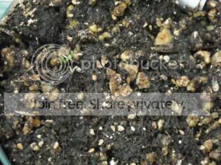 DSCN0046-3.jpg