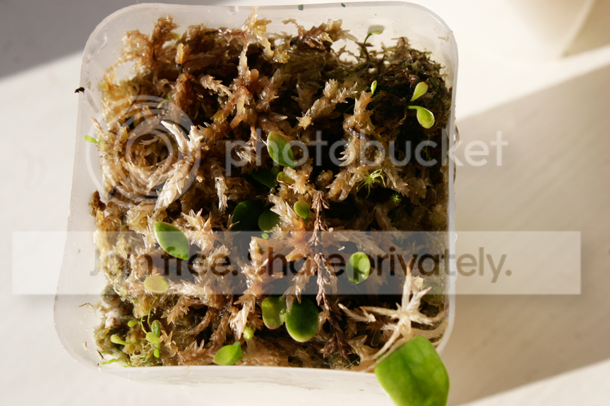 _MG_6695.png