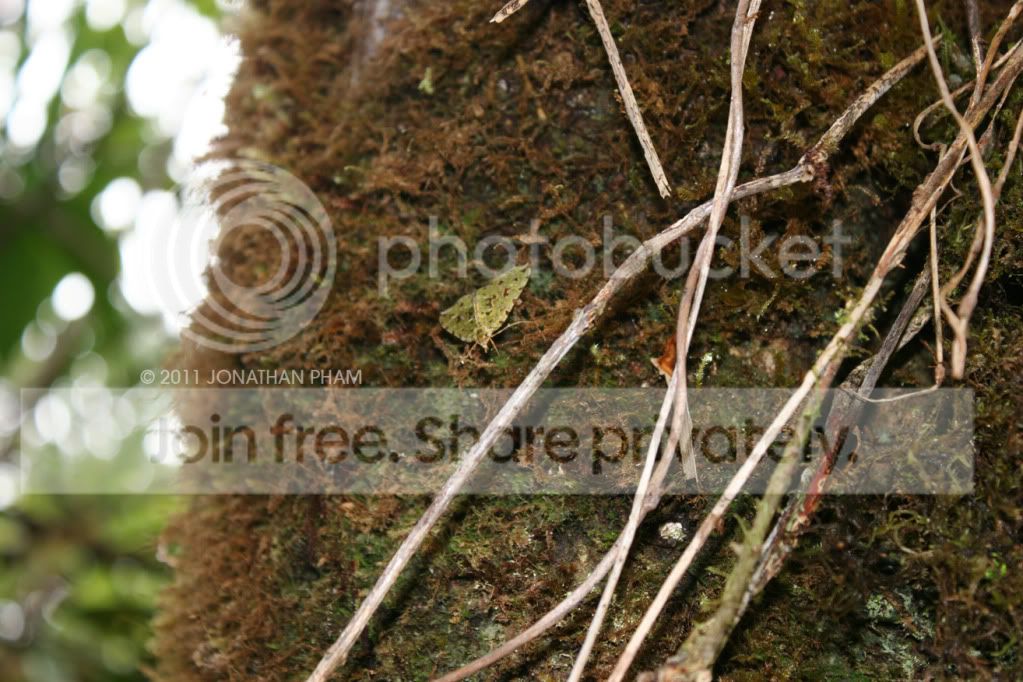 IMG_0812.jpg