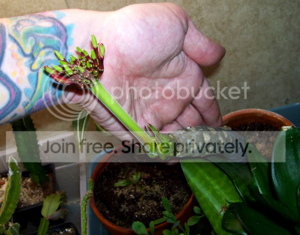 100_7861.jpg
