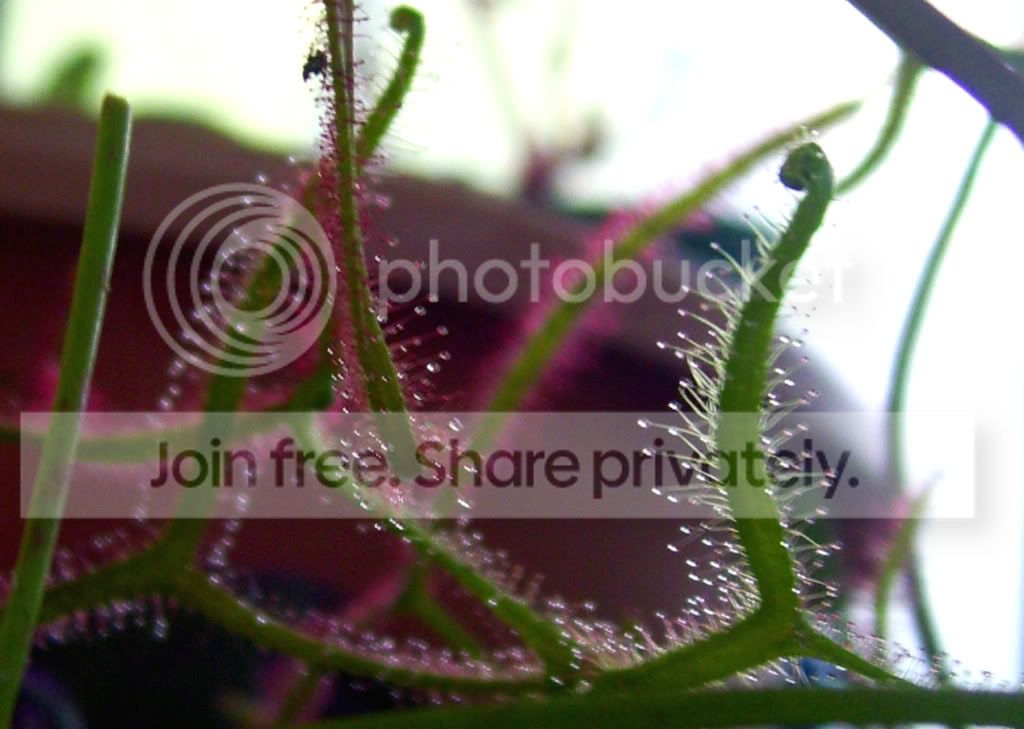 100_5934.jpg