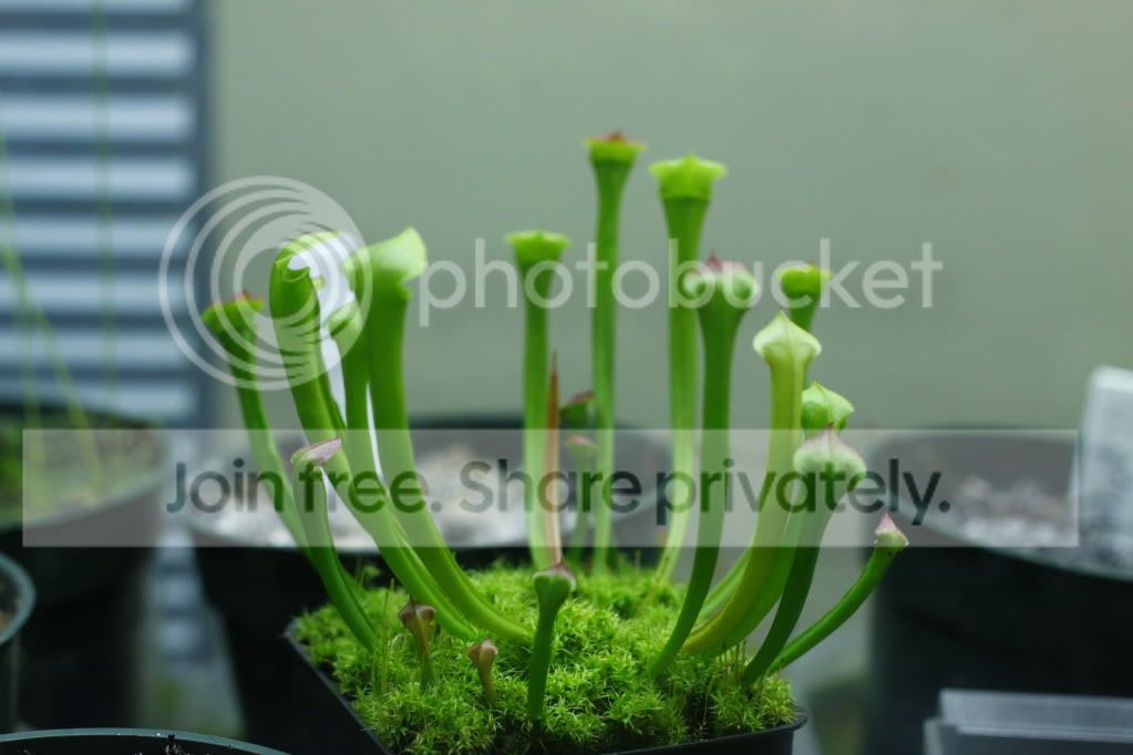 _MG_4748.jpg