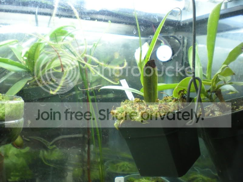 DSCN2726.jpg