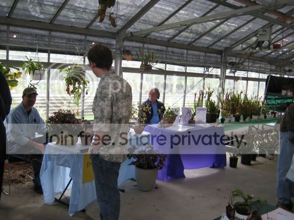 OrchidsS.jpg