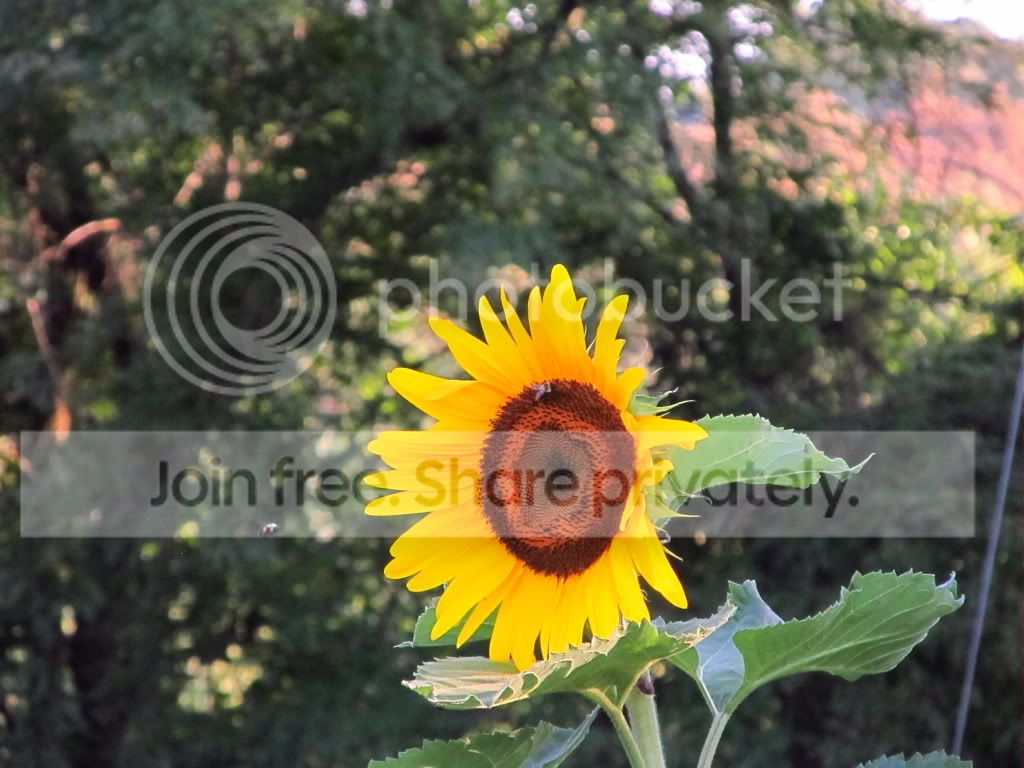 IMG_8072.jpg