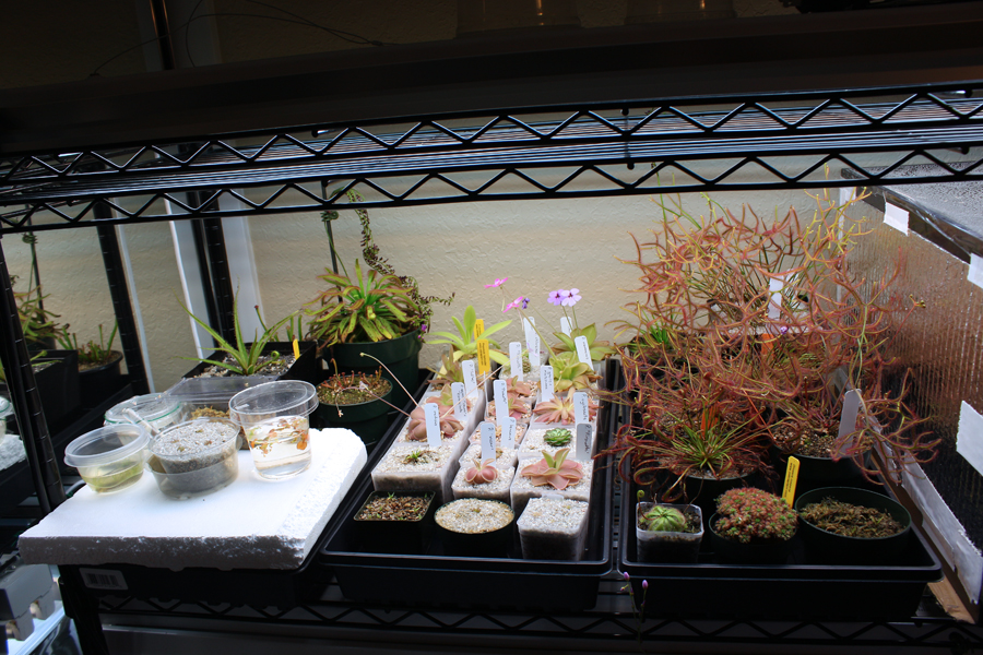 6546787471_b263167db0_o.jpg