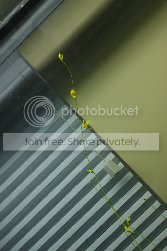 _MG_4746.jpg