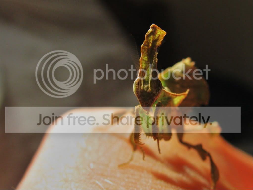 IMG_4628-1-1.jpg