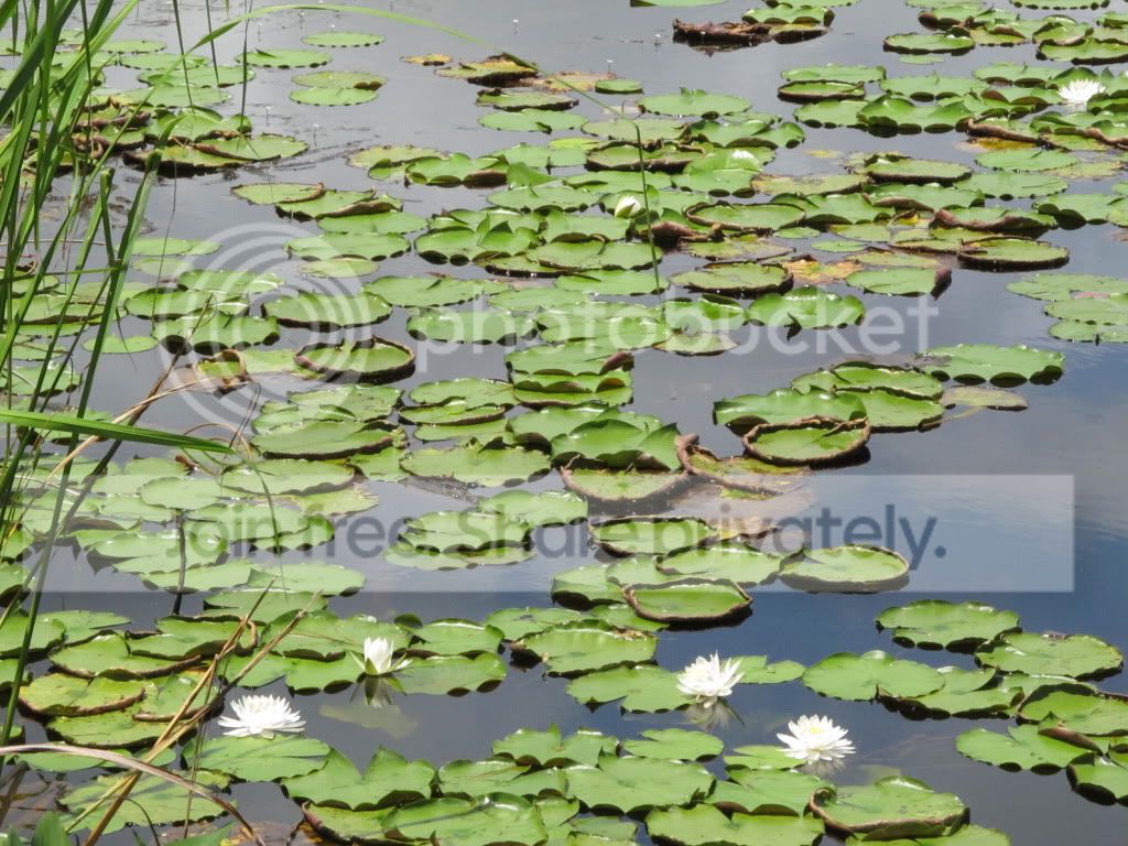 IMG_6368.jpg