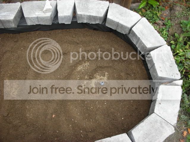 bogconstrction6.jpg