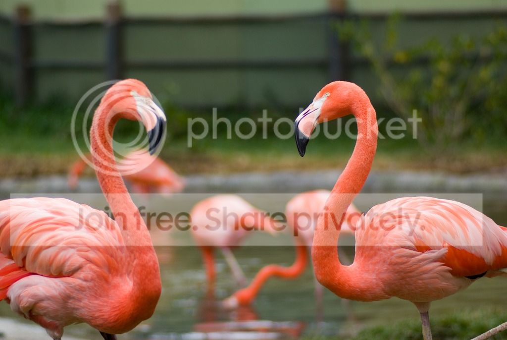 IMGP3642_zpszfcse9ne.jpg