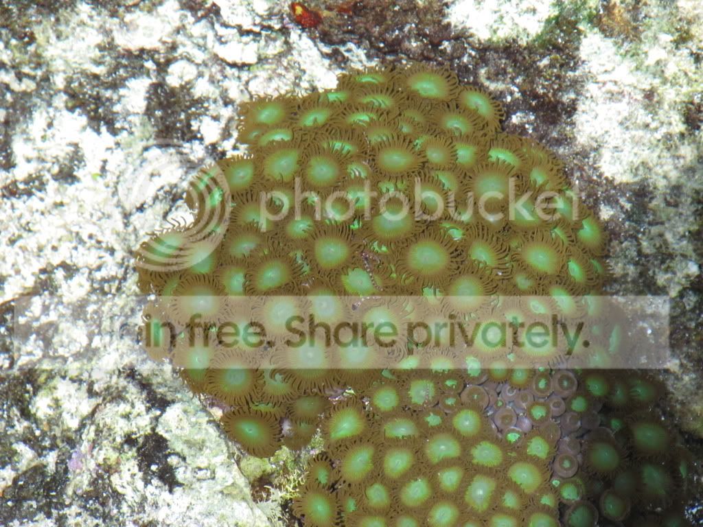 IMG_5743.jpg