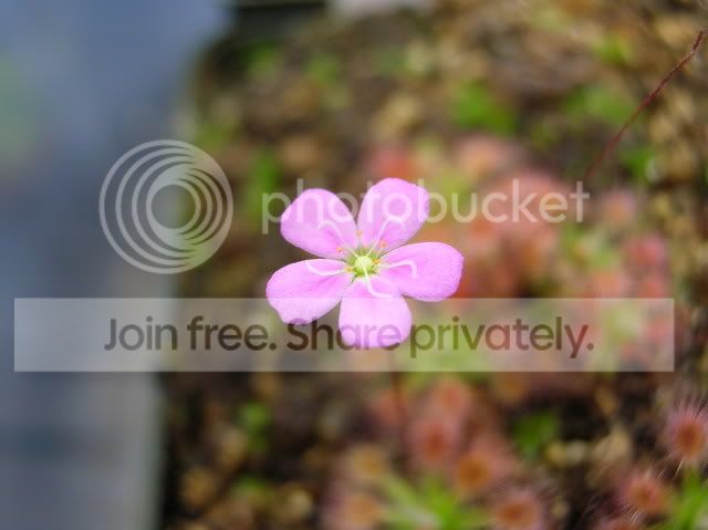 DSCN4552.jpg